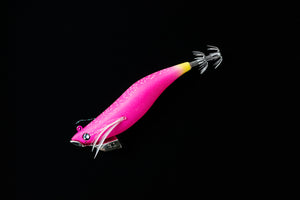 NOTOMON Swim Master 3.1 SD